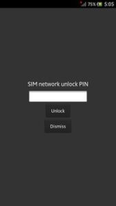 SIM network unlock Pin